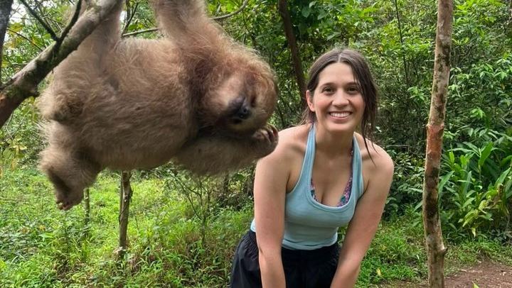Sloth Watching, Miravalles Hot Springs, Mud Bath and Waterfall Viewing with Lunch (3/12)