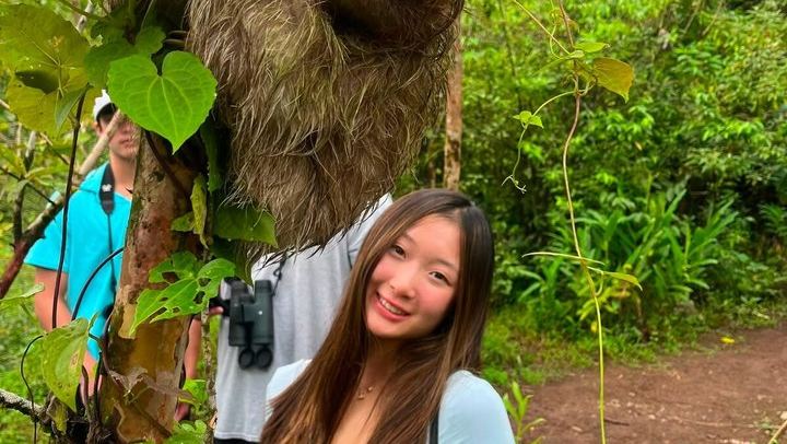 Sloth Watching, Miravalles Hot Springs, Mud Bath and Waterfall Viewing with Lunch (2/12)