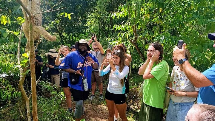 Rio Celeste, Llanos de Cortes Swim and Sloth Watching Rainforest Day Trip (1/12)