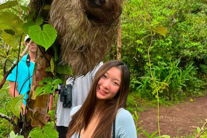 Sloth Watching, Miravalles Hot Springs, Mud Bath and Waterfall Viewing with Lunch (2/12)