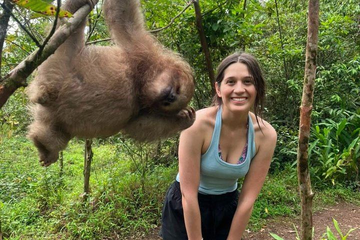 Sloth Watching, Miravalles Hot Springs, Mud Bath and Waterfall Viewing with Lunch (3/12)