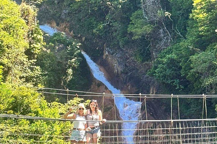 Sloth Watching, Miravalles Hot Springs, Mud Bath and Waterfall Viewing with Lunch (11/12)