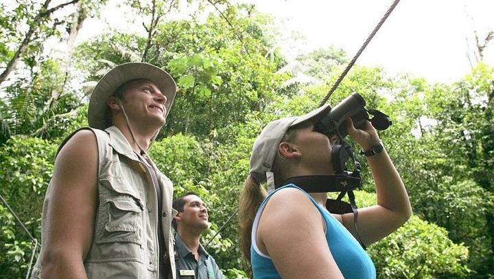 Sloth, Monkey and Dart Frog Day with Llanos de Cortés Hike, Tico Lunch and Guide (3/6)