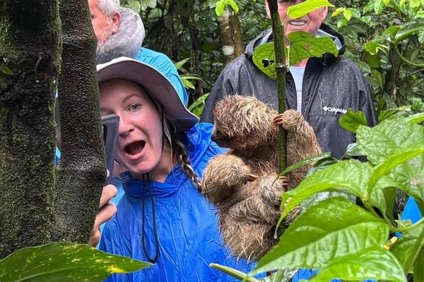 Sloth, Monkey and Dart Frog Day with Llanos de Cortés Hike, Tico Lunch and Guide