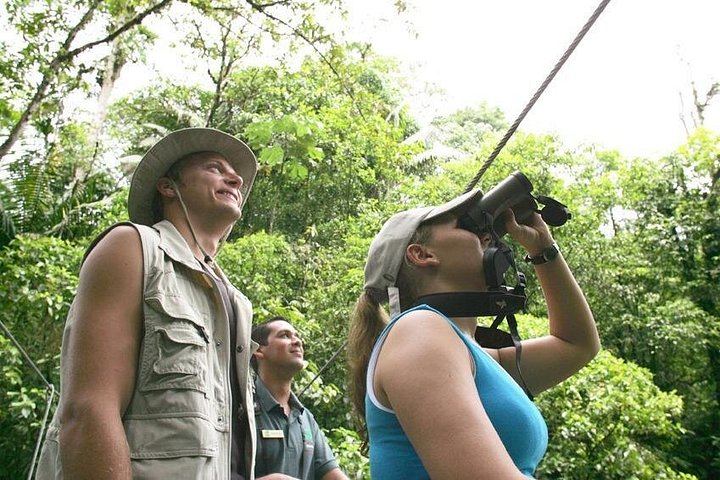 Sloth, Monkey and Dart Frog Day with Llanos de Cortés Hike, Tico Lunch and Guide (3/6)