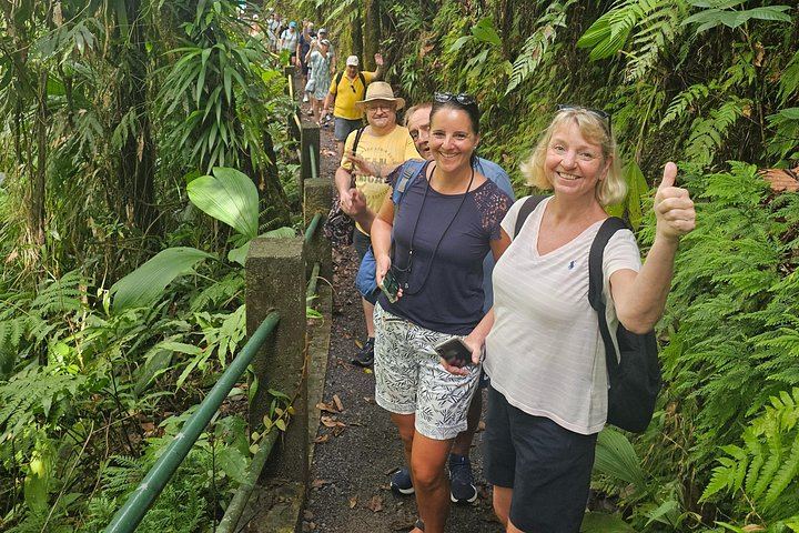 Sheppee Fun Tours: Emerald Pool, Trafalgar Falls and Morne Bruce, Dominica (3/7)