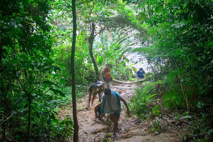 El Yunque Waterfalls and Waterslides Small Group Tour from San Juan (6/6)