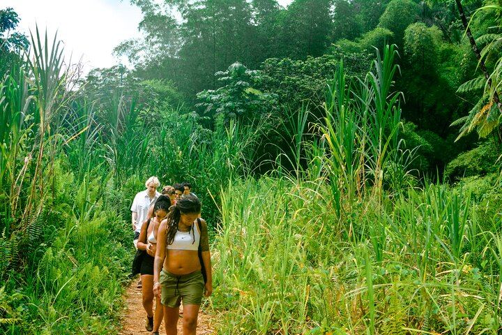El Yunque Waterfalls and Waterslides Small Group Tour from San Juan (3/6)