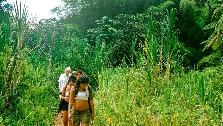 El Yunque Waterfalls and Waterslides Small Group Tour from San Juan (3/6)