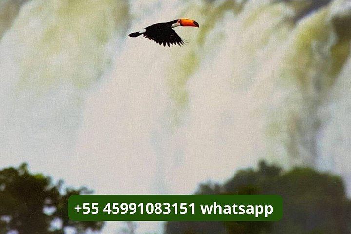 Small Group Iguazu Falls Day Tour, Argentina and Brazil Sides with Guide (10/12)
