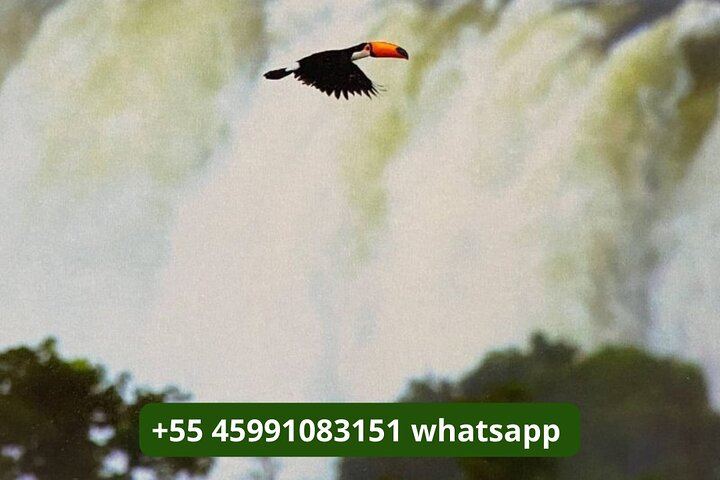 Small Group Iguazu Falls Day Tour, Argentina and Brazil Sides with Guide (4/12)