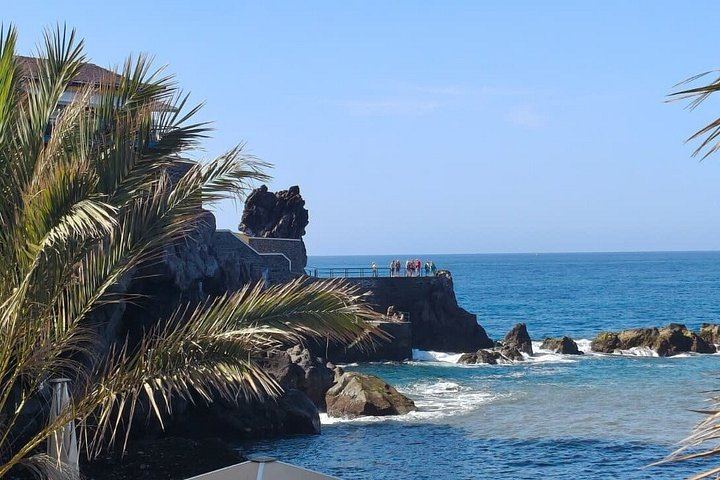 Small-Group West Madeira Tour: Porto Moniz Pools, Fanal Forest and Bridal Veil (3/12)