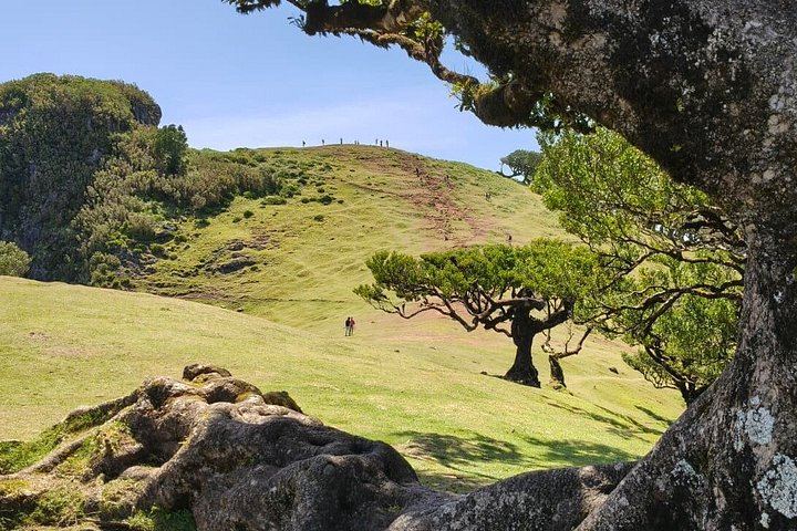 Small-Group West Madeira Tour: Porto Moniz Pools, Fanal Forest and Bridal Veil (9/12)