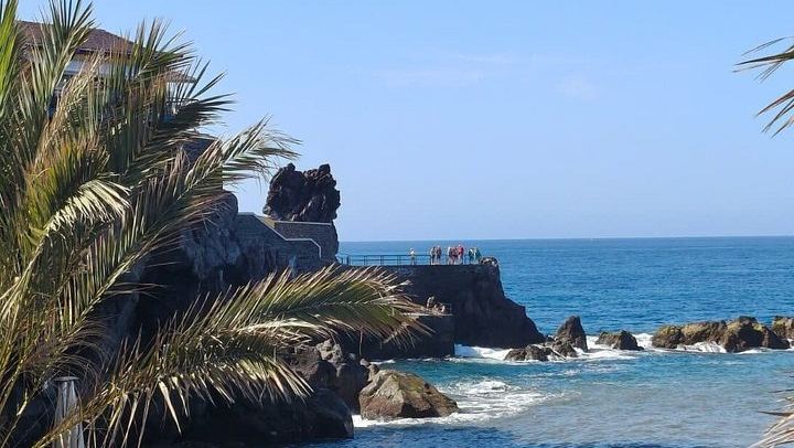 Small-Group West Madeira Tour: Porto Moniz Pools, Fanal Forest and Bridal Veil (3/12)