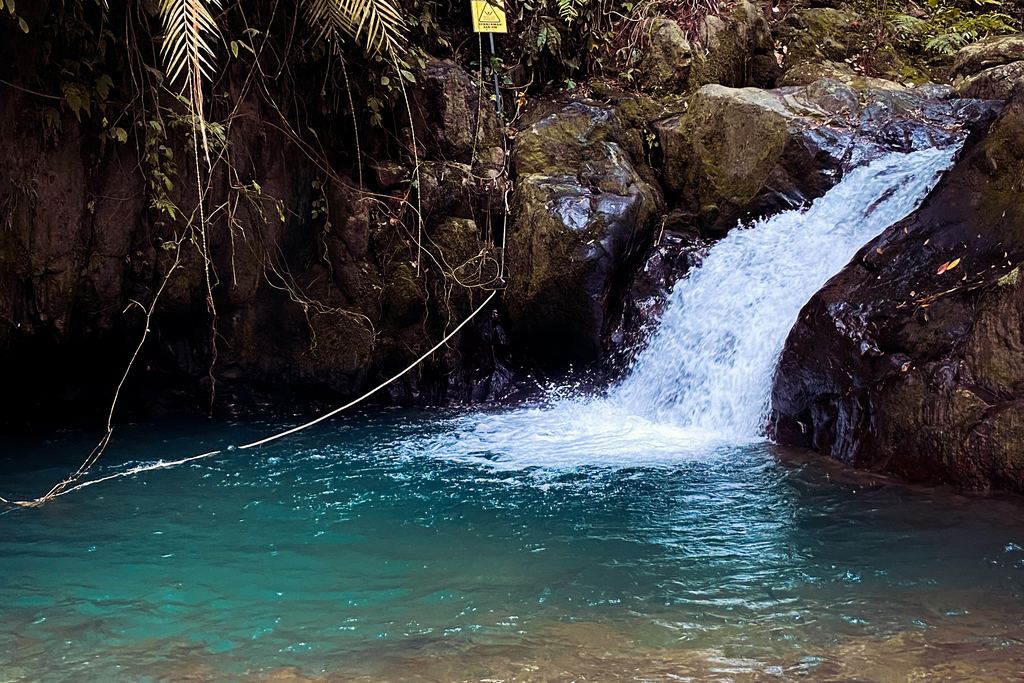 Small waterfall dropping into a green pool among palms and rocks