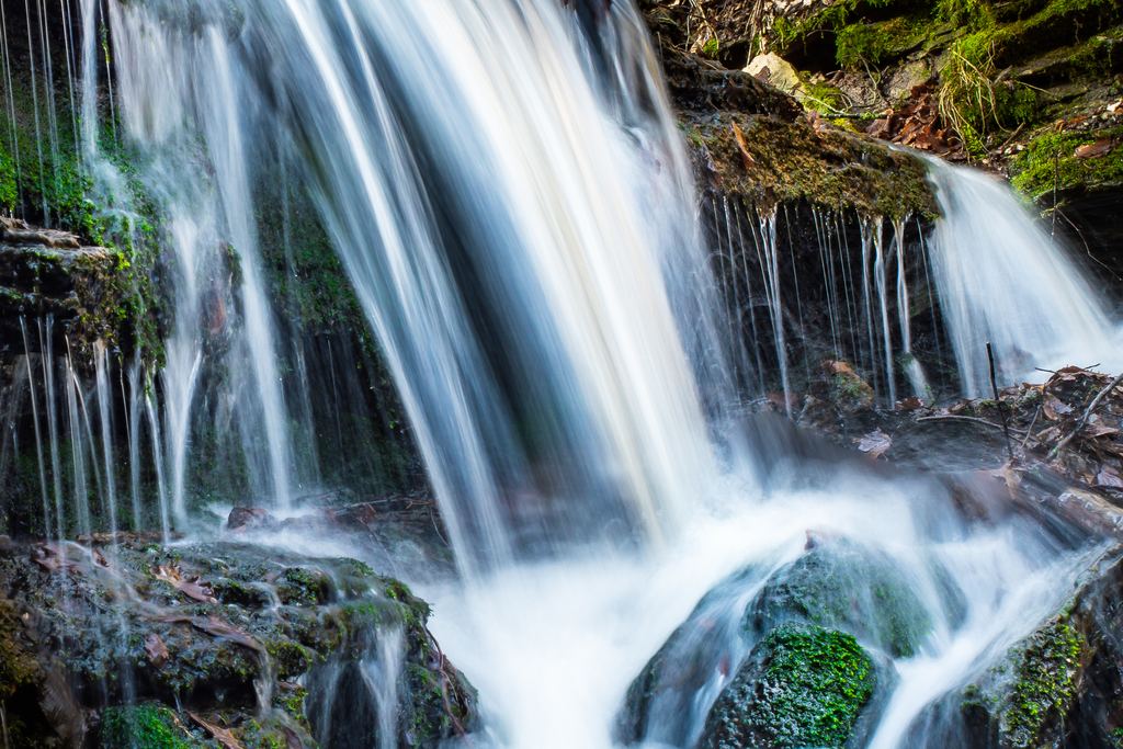 A small waterfall over dark rocks with patches of moss and fallen leaves above