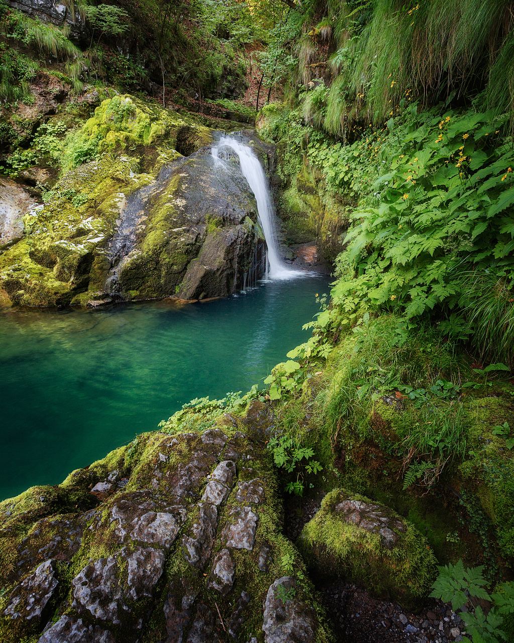 A small waterfall over moss-covered rock into a green pool in a forest in Skrad, Croatia