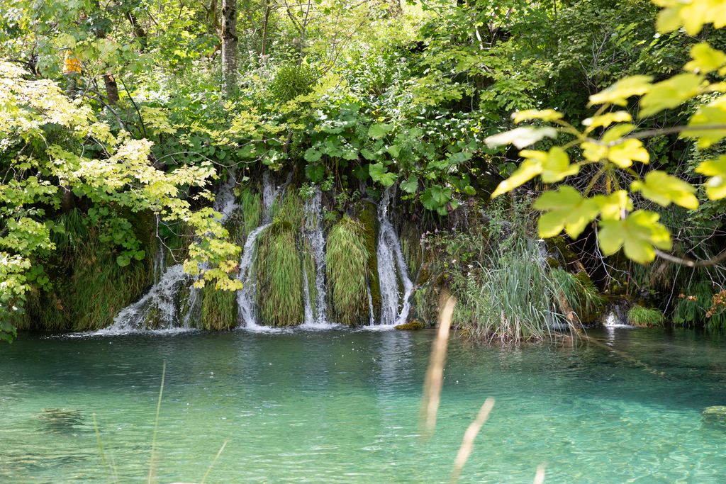 Small waterfalls falling into a turquoise pool behind leafy branches