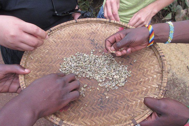 Materuni Waterfalls, Coffee Experience and Moshi Town Tour Ending at a Rooftop Bar (2/5)