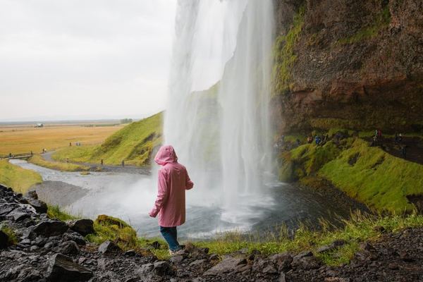 Reykjavik Day Tour to Seljalandsfoss, Skógafoss, Reynisfjara and Sólheimajökull Glacier