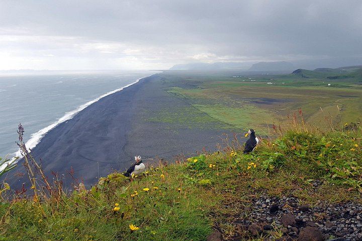 Private Full-Day South Coast Tour from Reykjavik with Gljufrabui and Dyrholaey (5/12)