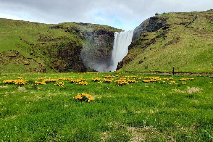 Private Full-Day South Coast Tour from Reykjavik with Gljufrabui and Dyrholaey (8/12)