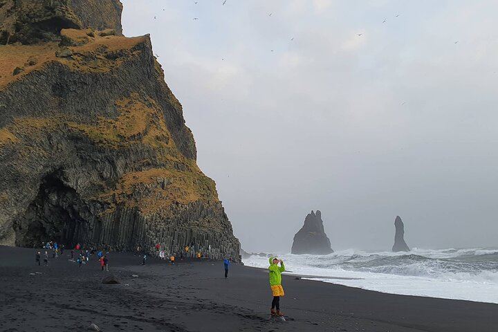 10-Hour Seljalandsfoss, Skogafoss and Black Beach Small-Group Day Tour (12/12)