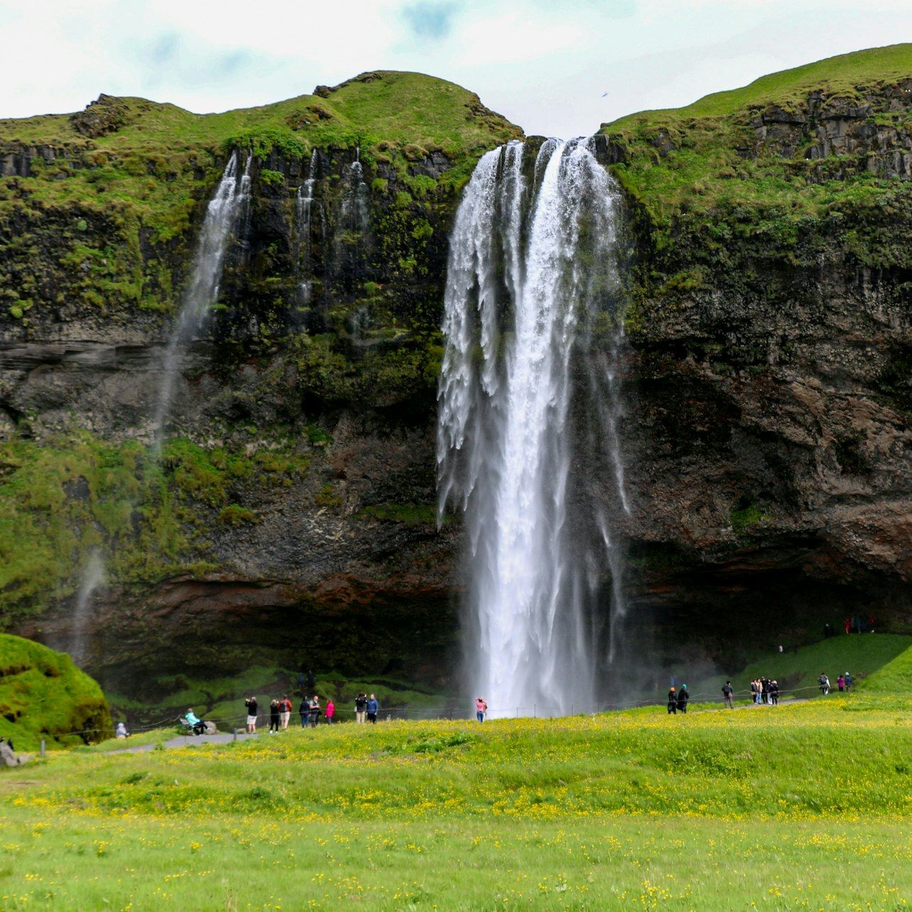 Guided South Coast Day Trip: Waterfalls, Sólheimajökull Glacier and Reynisfjara Beach (4/5)
