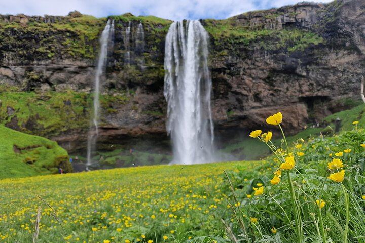 Small-Group Day Tour to Vik: Touch the Glacier Edge and Walk Behind Falls (3/12)