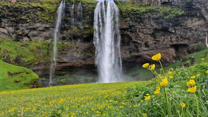 Small-Group Day Tour to Vik: Touch the Glacier Edge and Walk Behind Falls (3/12)