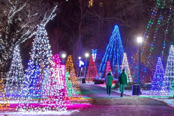 Niagara Falls Festival of Lights Evening Tour from Toronto with Maple Tasting