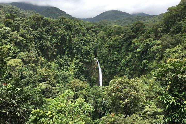 La Fortuna Waterfall, Arenal Ecological Park and El Choyin Hot River, Sloth Park Start (5/12)