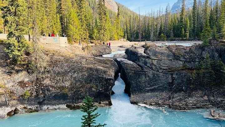 Yoho Day Tour: Wapta Falls and Takakkaw Falls in Summer, Marble Canyon in Winter (3/12)