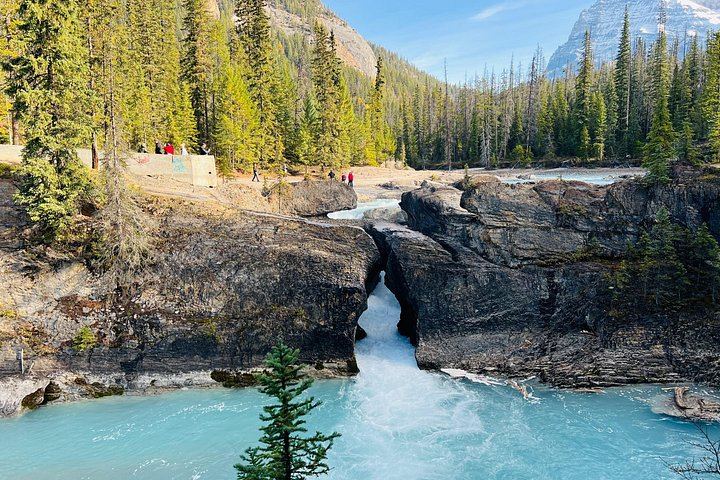 Yoho Day Tour: Wapta Falls and Takakkaw Falls in Summer, Marble Canyon in Winter (3/12)