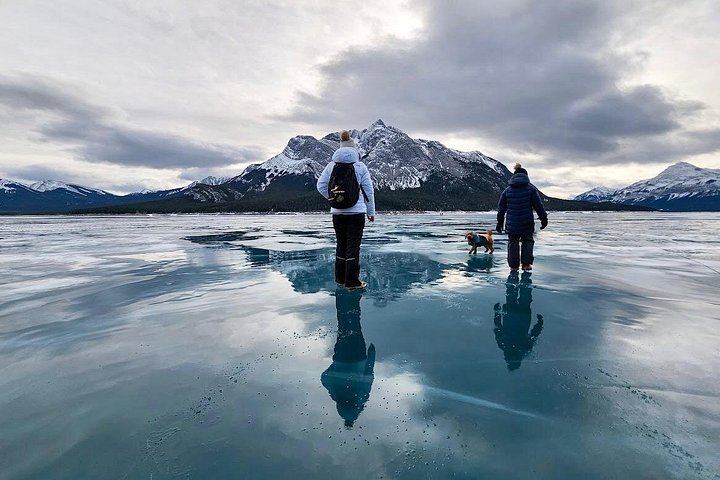 Small-Group Icefields Parkway Day Trip: Athabasca Falls and Abraham Lake Ice Bubbles (7/12)