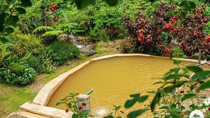 Private Roseau Valley Tour for Up to 6: Freshwater Lake, Ti Tou Gorge, Hot Springs (3/4)