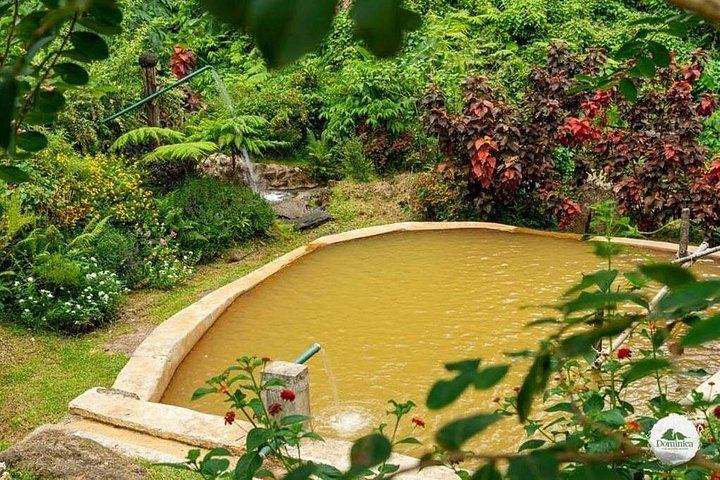 Private Roseau Valley Tour for Up to 6: Freshwater Lake, Ti Tou Gorge, Hot Springs (3/4)