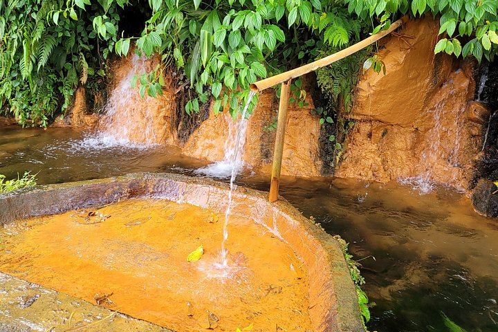 Private Dominica Waterfalls Tour with Autop Tours: Freshwater Lake to Morne Bruce (10/12)