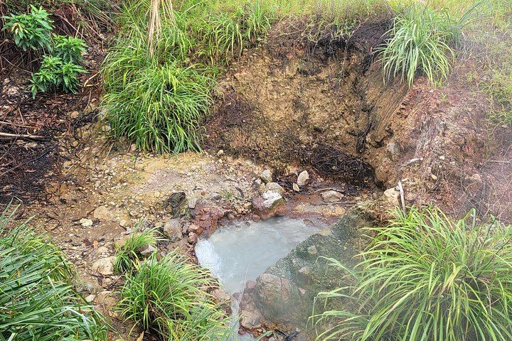 Two-Hour Scenic Drive to Trafalgar Falls and Sulphur Springs with Autop Tours (7/12)