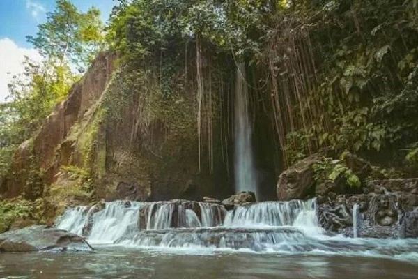 Private Ubud Tour: Sumampan Waterfall, Monkey Forest, Rice Terraces and Swing