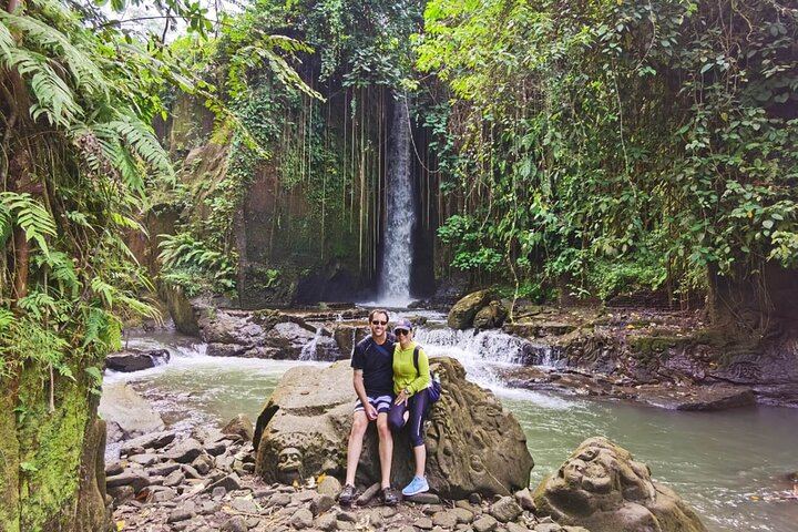 Private Ubud Tour: Sumampan Waterfall, Monkey Forest, Rice Terraces and Swing (6/12)