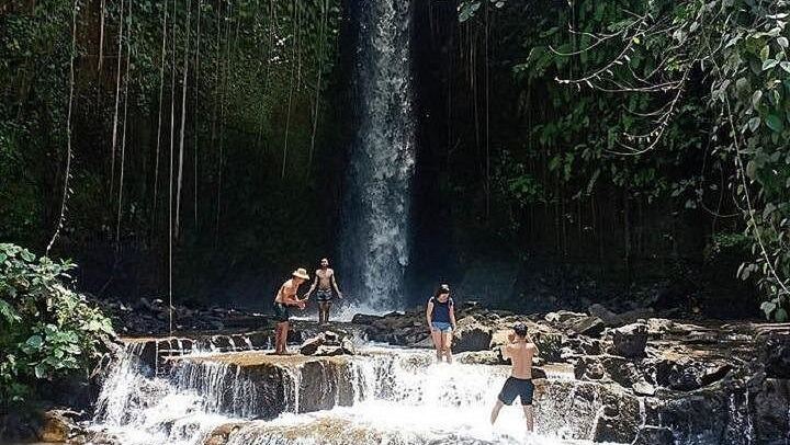 Private Ubud Tour: Sumampan Waterfall, Monkey Forest, Rice Terraces and Swing (3/12)