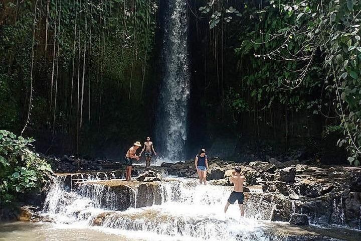 Private Ubud Tour: Sumampan Waterfall, Monkey Forest, Rice Terraces and Swing (3/12)