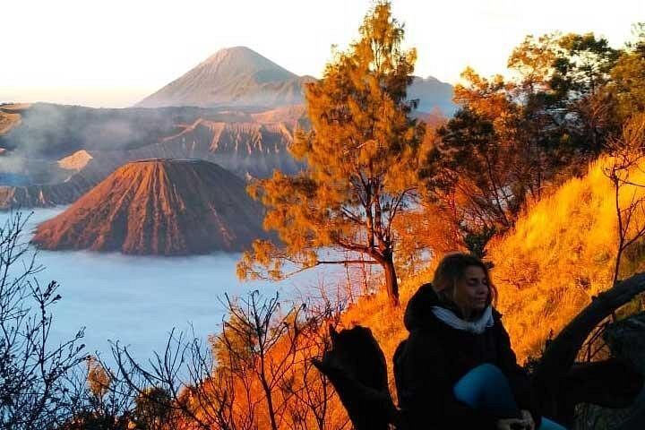 Two-Day Surabaya Tour to Tumpak Sewu Falls and Bromo with Cemara Lawang Stay (4/7)