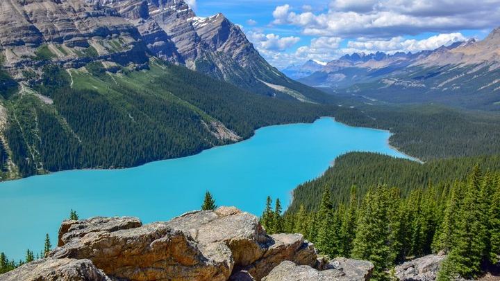 Icefields Parkway Tour: Peyto Lake, Bow Lake, Athabasca and Sunwapta Falls (1/12)