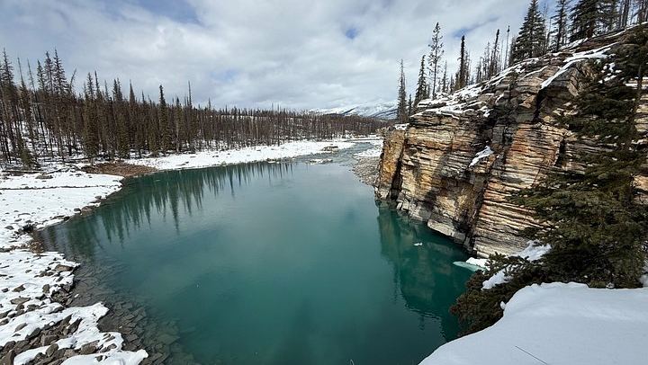 Icefields Parkway Tour: Peyto Lake, Bow Lake, Athabasca and Sunwapta Falls (3/12)