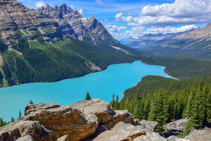 Icefields Parkway Tour: Peyto Lake, Bow Lake, Athabasca and Sunwapta Falls (1/12)