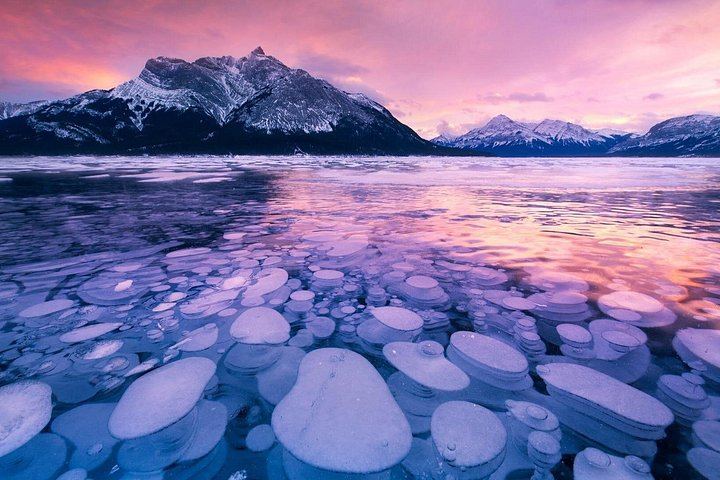 Icefields Parkway Tour: Peyto Lake, Bow Lake, Athabasca and Sunwapta Falls (11/12)