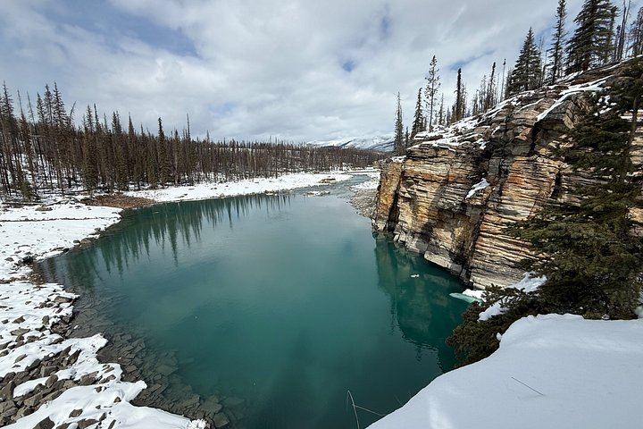 Icefields Parkway Tour: Peyto Lake, Bow Lake, Athabasca and Sunwapta Falls (3/12)