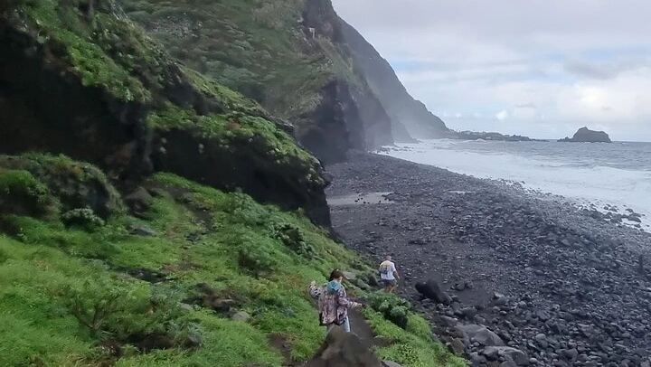 West Madeira Sightseeing Tour with Ribeira da Janela Swings and Porto Moniz Lunch Stop (2/12)